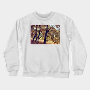 autumn park Crewneck Sweatshirt